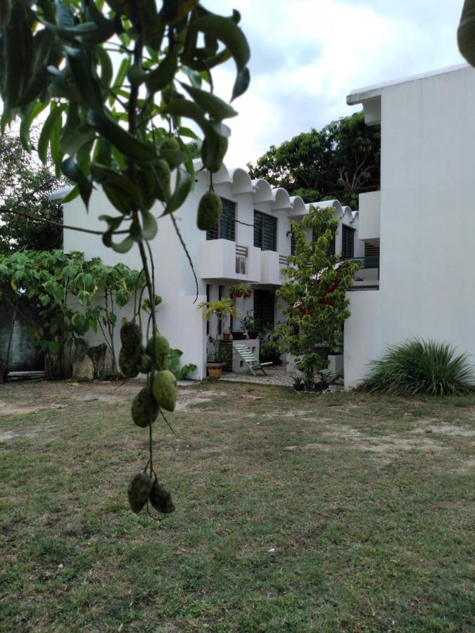 Appartement Departamentos De La Reina Roja à Palenque Extérieur photo